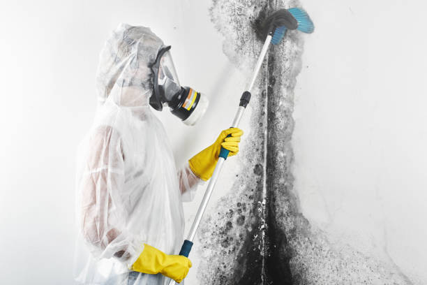 Best Dehumidification Services  in Putney, GA