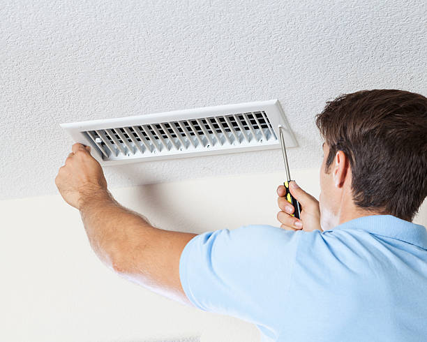 Trusted Putney, GA Mold Removal Experts